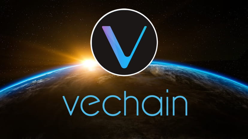 Understanding VeChain VET and VTHO Tokens