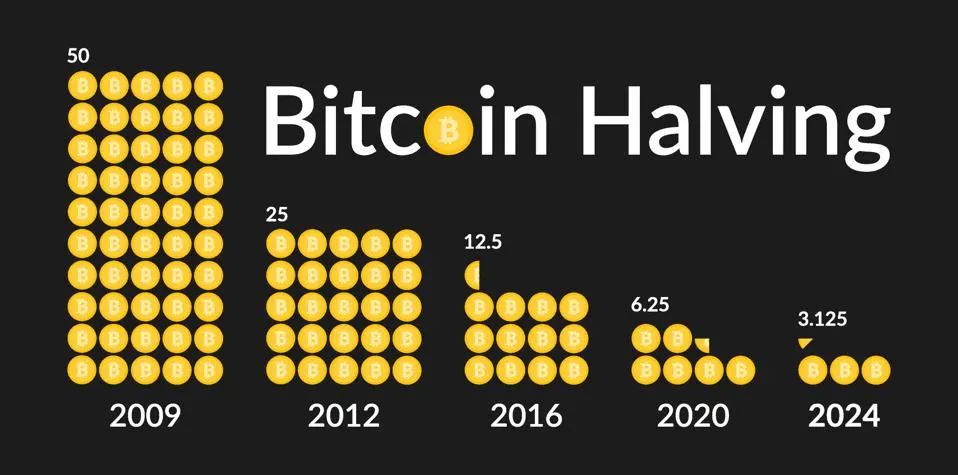 Upcoming Bitcoin Halving Date and What It Means for Investors – Next Bitcoin Halving