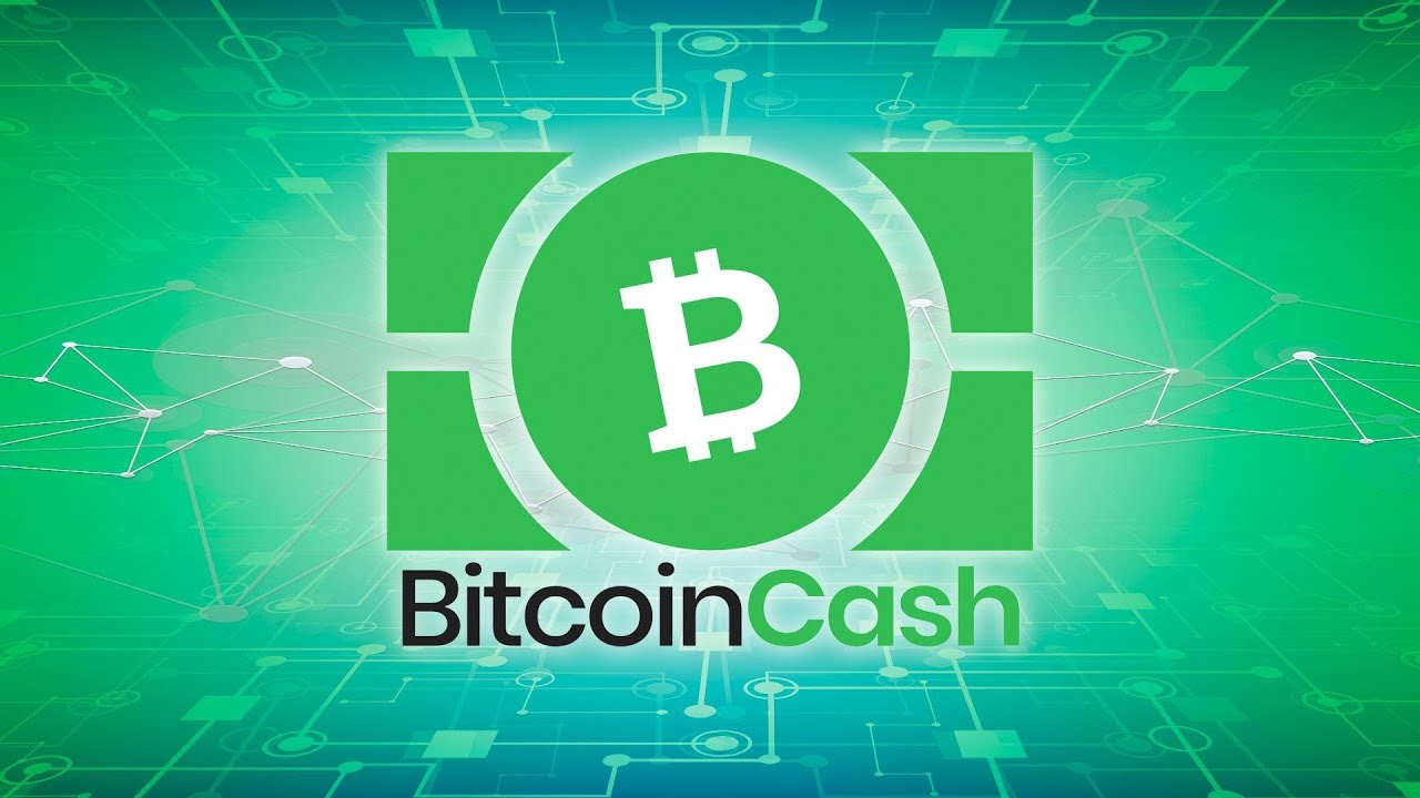 Understanding What Is Bitcoin Cash and How BCH Works?